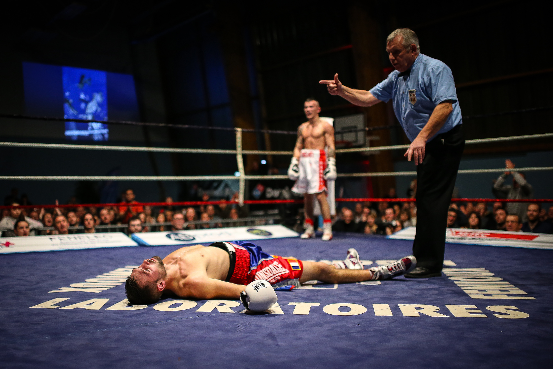 Boxer Knocked Out in a Boxing Ring
